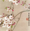Vintage prints of Chinese and Japanese flowers, plants, birds, views, etc.